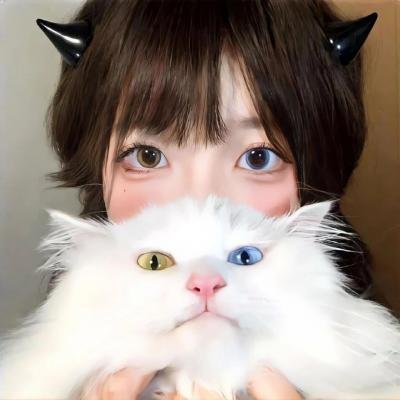 Π情歌